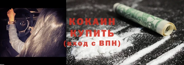 сатива Костерёво