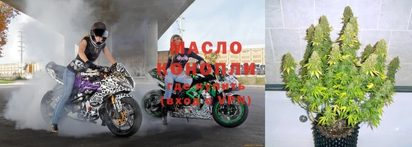 сатива Костерёво
