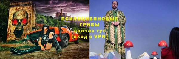 сатива Костерёво